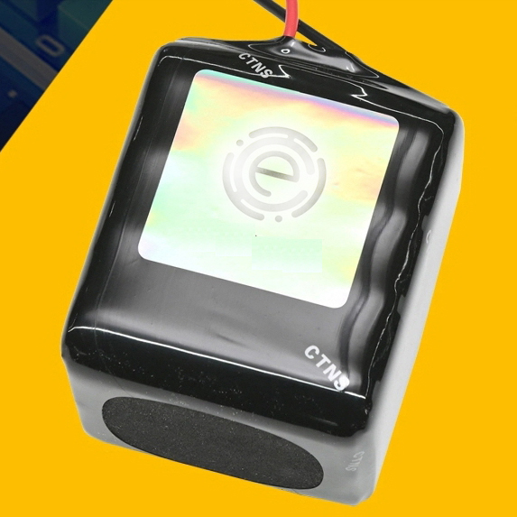 12.6V 5Ah 3S1P Battery - Versatile Lithium Ion Battery Pack for South Korea